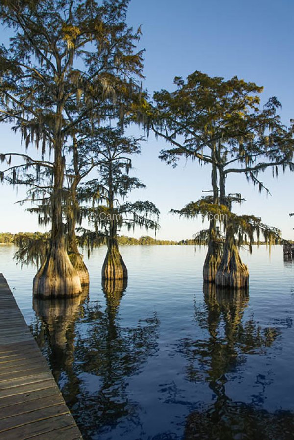 Lake Bruin State Park, Louisiana, United States